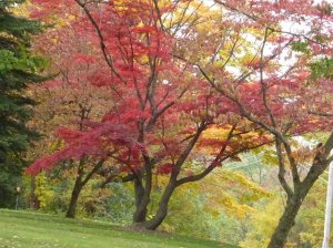 Pennsylvania Highway 99 Travelling South